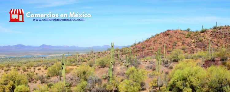 Comercios en Mexico - Sonora